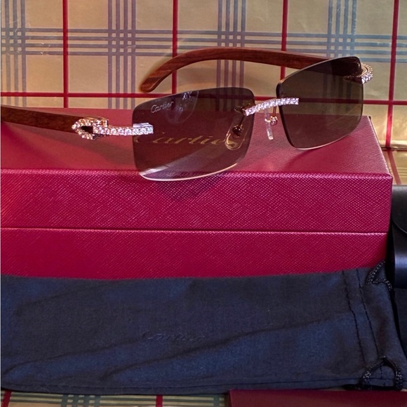 Cartier Unisex Wood Frame Sunglasses